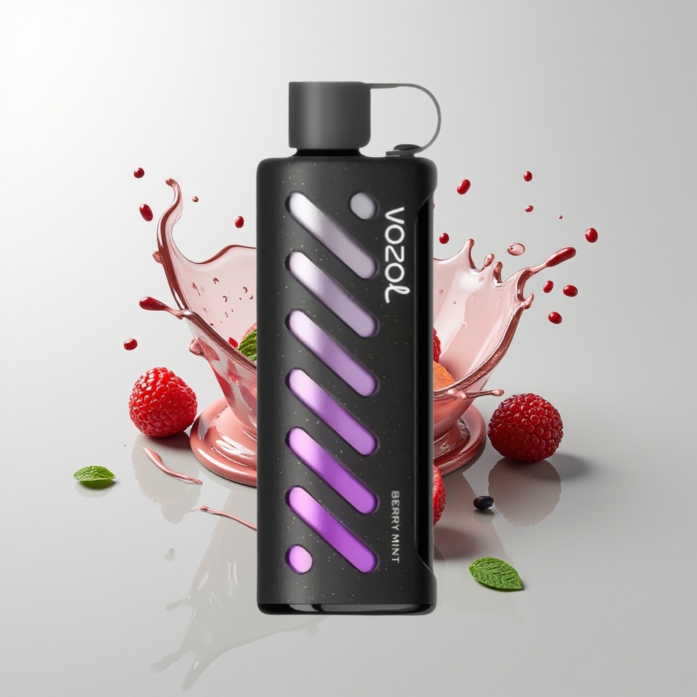 Berry Mint VOZOL Gear Shisha 25000 Puffs Disposable Vape Ireland Wholesale