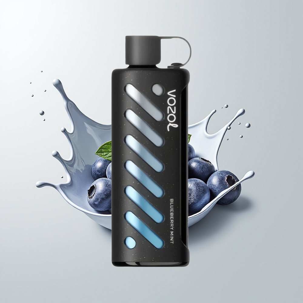 Blueberry Mint VOZOL Gear Shisha 25000 Puffs Disposable Vape Ireland Wholesale