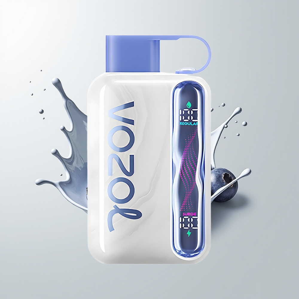 Blueberry Mint VOZOL STAR 40000 Puffs Disposable Vape Ireland Wholesale
